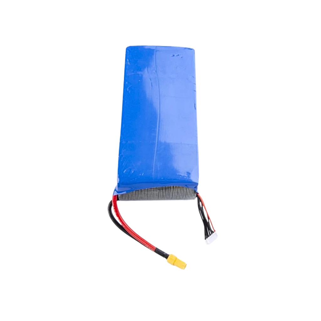 Battery Pilotix Lipo 6S 16000mAh 60C XT90